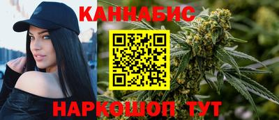 индика Нальчик