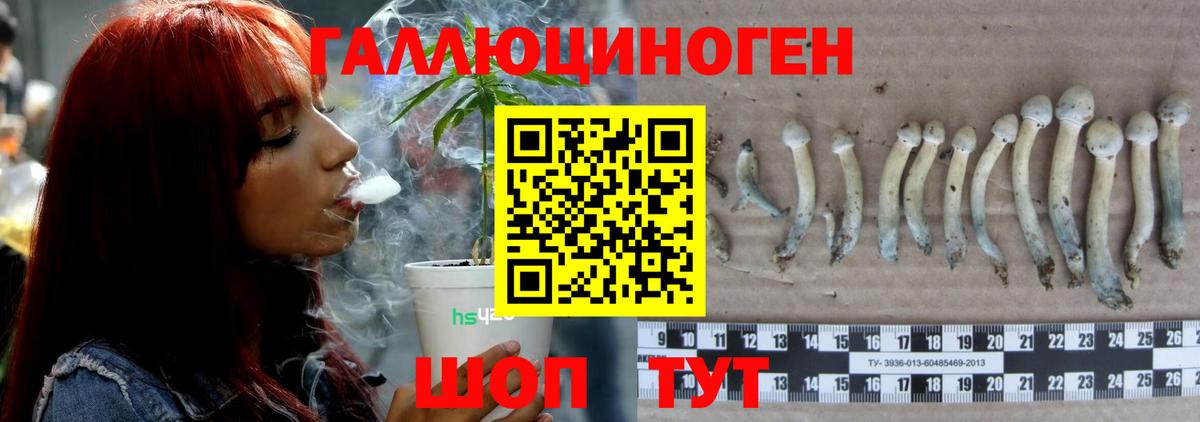 Псилоцибиновые грибы прущие грибы Тамбов